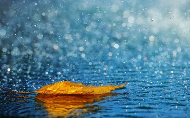 Trời mưa số mấy? Giấc mơ ứng với điềm báo như thế nào?