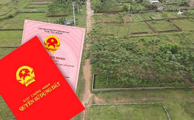 Mơ mua đất đánh con gì? Giải mã giấc mơ mua đất