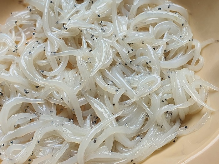 Mơ thấy cá trắng đánh đề con gì? Con số tài lộc cho anh em