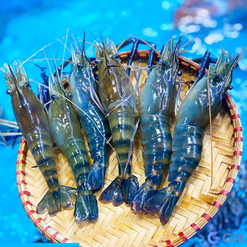 Nằm mơ thấy tôm càng xanh báo hiệu có quý nhân giúp đỡ Nằm mơ thấy tôm càng xanh báo hiệu có quý nhân giúp đỡ