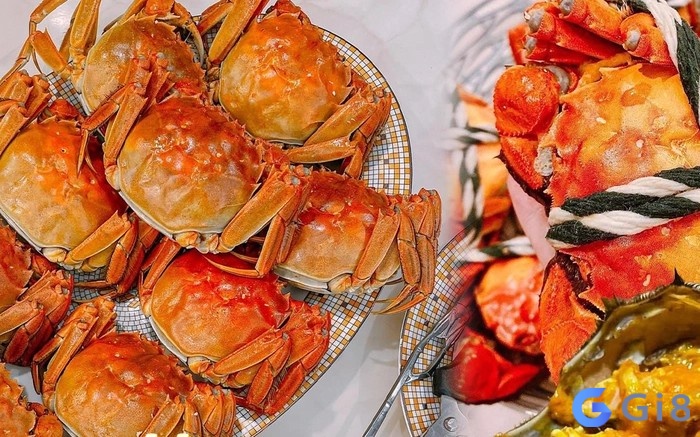 Mơ thấy cua biển dự báo có nhiều mối quan hệ tốt sắp đến với bạn Mơ thấy cua biển dự báo có nhiều mối quan hệ tốt sắp đến với bạn