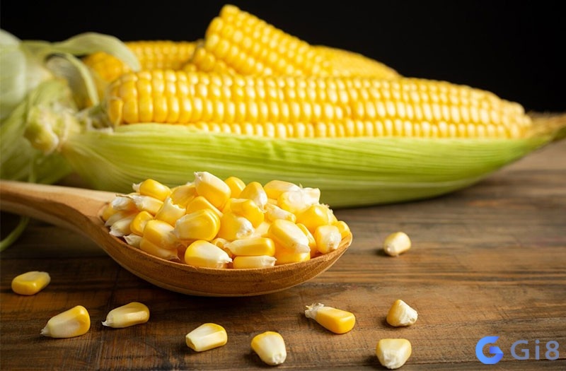 Khám phá mơ thấy cây ngô đánh đề con gì với gi88 nhé! Khám phá mơ thấy cây ngô đánh đề con gì với gi88 nhé!