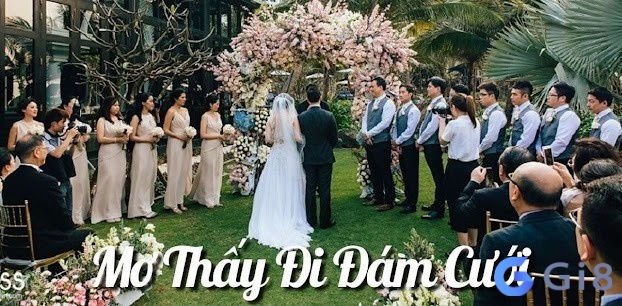 Mơ thấy đi dự đám cưới là điều mà nhiều người trải qua Mơ thấy đi dự đám cưới là điều mà nhiều người trải qua