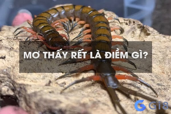 Mơ con rết xuất hiện chứa đựng phía sau dự báo tương lai Mơ con rết xuất hiện chứa đựng phía sau dự báo tương lai