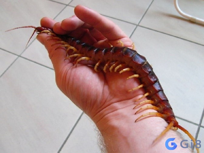 Chuyên gia sẽ giải mã giấc mơ theo từng bối cảnh cụ thể Chuyên gia sẽ giải mã giấc mơ theo từng bối cảnh cụ thể