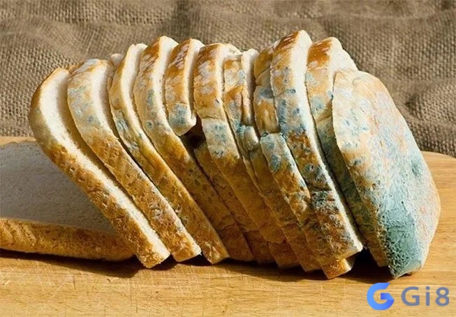 Mộng thấy chiếc bánh bị hỏng đừng lo lắng vì đó là điềm báo tốt Mộng thấy chiếc bánh bị hỏng đừng lo lắng vì đó là điềm báo tốt