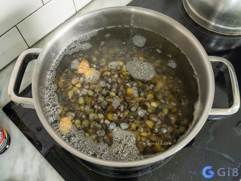 Ngủ mơ thấy con hến đánh đề con gì là thắc mắc rất được chú ý Ngủ mơ thấy con hến đánh đề con gì là thắc mắc rất được chú ý