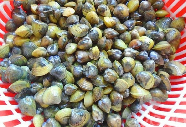 Mơ thấy con hến đánh đề con gì? Điềm may hay xui?