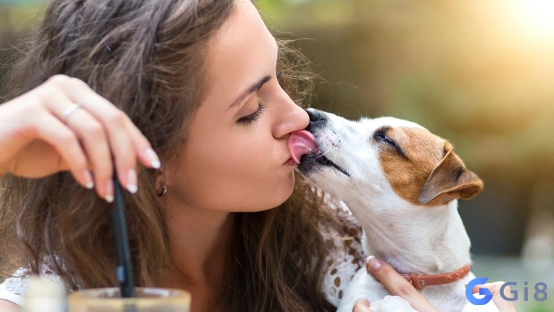Mơ thấy mình hôn thú cưng sẽ có điềm tốt cho cuộc sống của bạn, mọi thứ sẽ bình yên nhé ngoài mơ thấy hôn crush thì còn có giấc mơ thấy hôn thú cưng của mình nữa