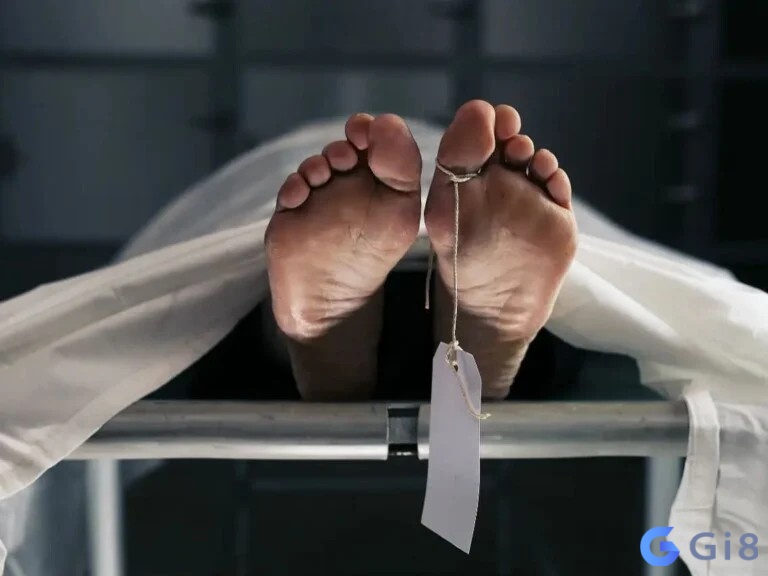 Mơ thấy di ảnh người chết trên bàn thờ thường làm nhiều người sợ hãi vì nghĩ là nó liên quan đến cái chết Mơ thấy di ảnh người chết trên bàn thờ có phải là điềm xui trong cuộc sống không?