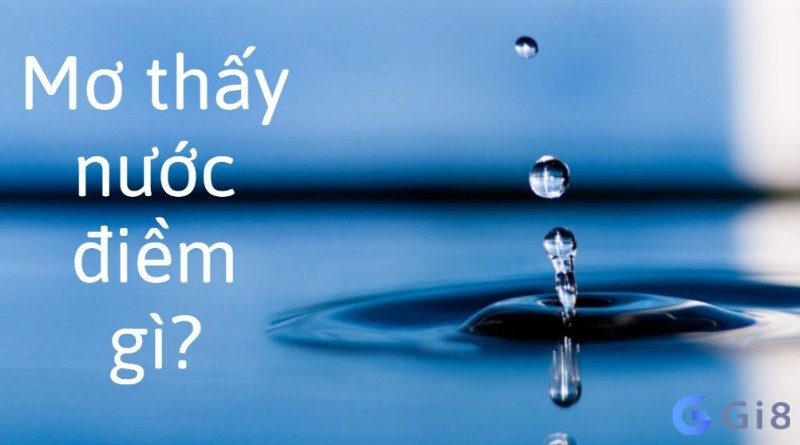 Giấc mơ về nước báo hiệu điều gì? Giấc mơ về nước báo hiệu điều gì?