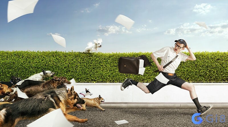 Giải mã giấc mơ bị chó cắn giúp bạn làm giàu Giải mã giấc mơ bị chó cắn giúp bạn làm giàu