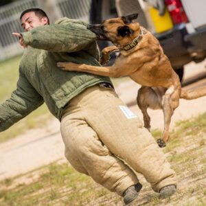 Giải mã giấc mơ bị chó cắn đánh số đề gì trúng đậm?