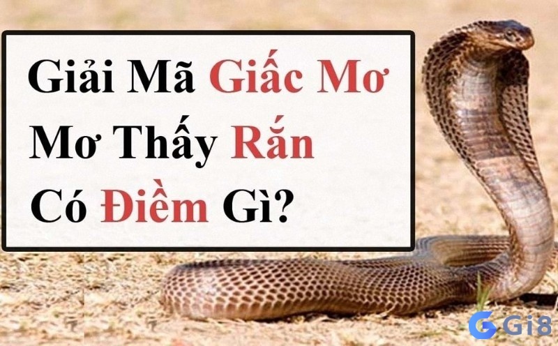 Giải mã giấc mơ lô đề thấy rắn – Mỗi giấc mơ, một thông điệp