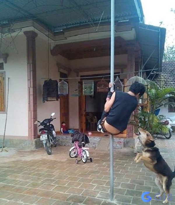 Mơ bị chó cắn lời nhắc để bạn tỉnh táo hơn trong các mối quan hệ Mơ bị chó cắn lời nhắc để bạn tỉnh táo hơn trong các mối quan hệ