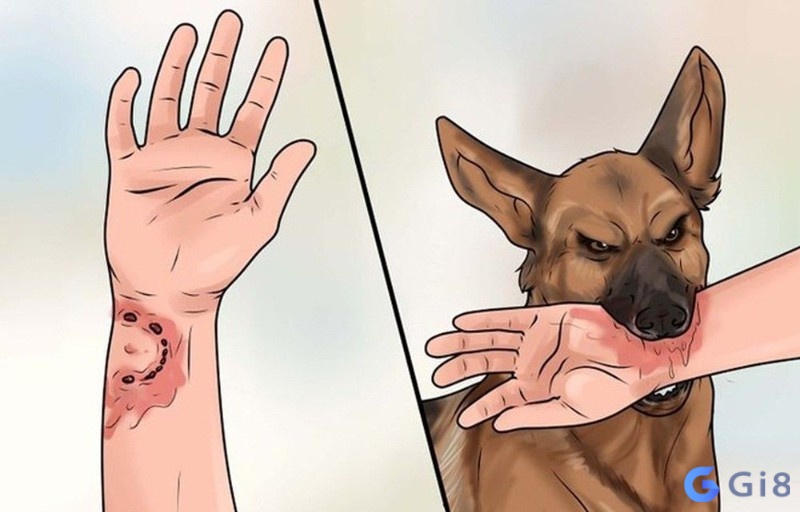 Mộng thấy chó cắn vào lưng thì bạn sẽ bị phản bội Mộng thấy chó cắn vào lưng thì bạn sẽ bị phản bội