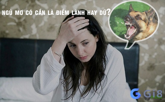 Mơ bị chó hoang tấn công hãy đề phòng việc chia sẻ thông tin cá nhân Mơ bị chó hoang tấn công hãy đề phòng việc chia sẻ thông tin cá nhân