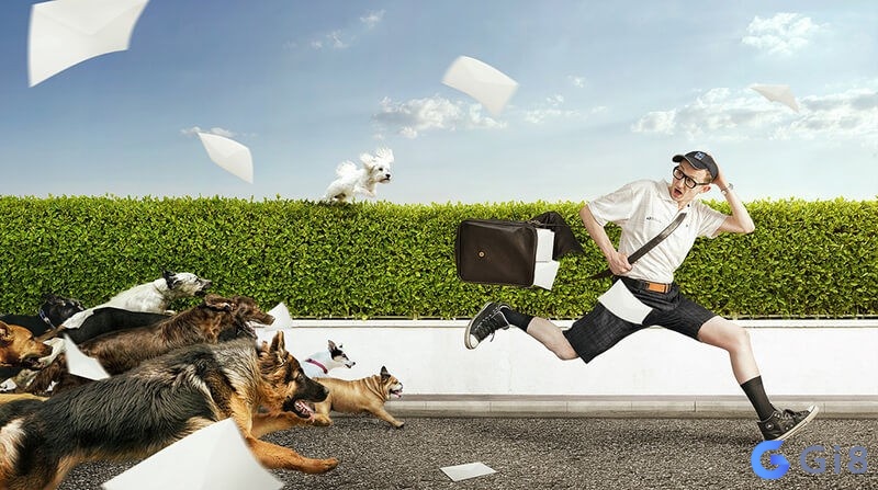 Con số tài lộc khi khi mơ thấy người khác bị chó cắn 17-71 Con số tài lộc khi khi mơ thấy người khác bị chó cắn 17-71