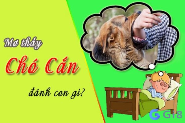 Mơ thấy chó cắn nên đánh con gì? Mơ thấy chó cắn nên đánh con gì?