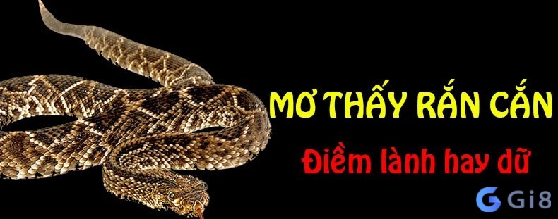 Mỗi giấc mơ khác nhau sẽ giải mã giấc mơ thấy bị rắn cắn với ý nghĩa rất riêng Mỗi giấc mơ khác nhau sẽ giải mã giấc mơ thấy bị rắn cắn với ý nghĩa rất riêng