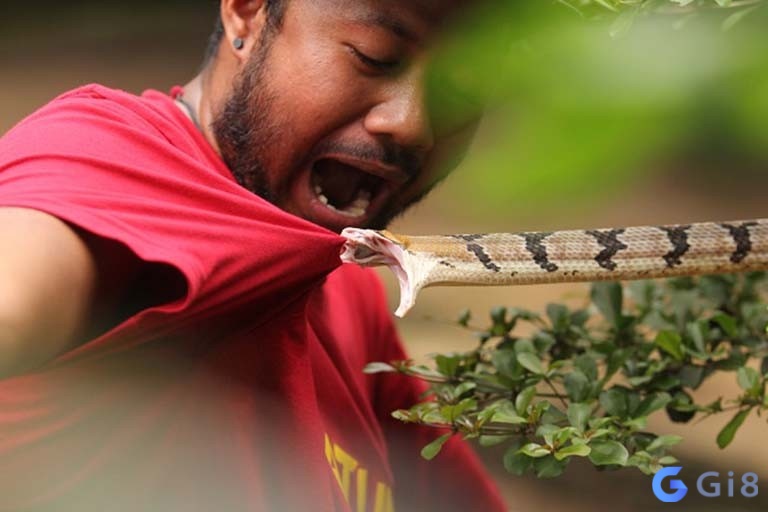 Giải mã giấc mơ thấy bị rắn cắn người quen nhắc nhở bạn về những mối quan hệ xung quanh Giải mã giấc mơ thấy bị rắn cắn người quen nhắc nhở bạn về những mối quan hệ xung quanh