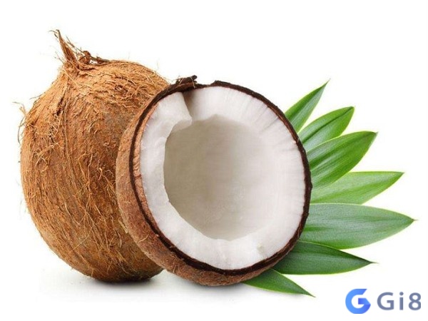 Mơ thấy trái dừa khô là dấu hiệu xui rủi về công việc và vận trình hiện tại Mơ thấy trái dừa khô là dấu hiệu xui rủi về công việc và vận trình hiện tại