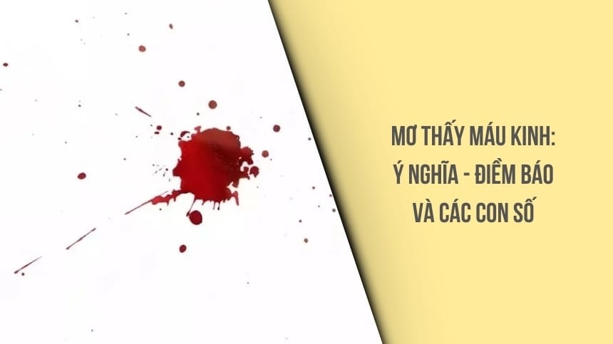 Mơ thấy máu kinh đánh con gì? Ngoài 29, 69 ra còn thêm số gì?