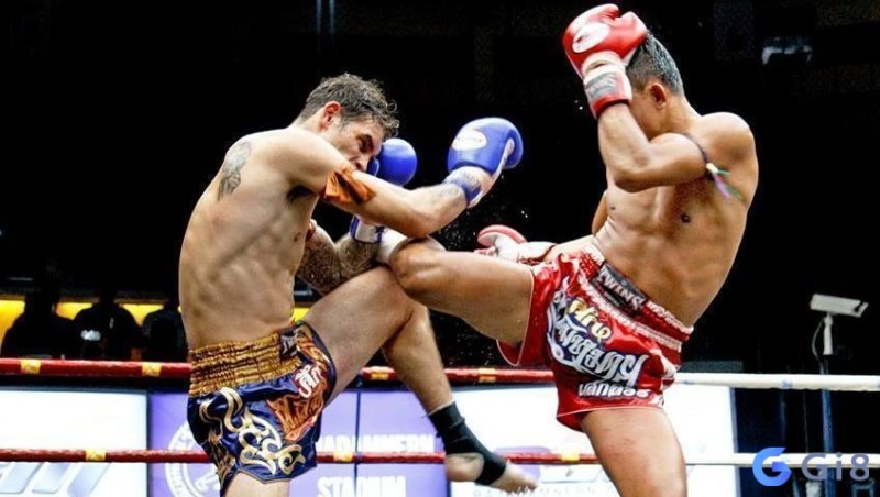 Cá cược quyền anh là loại hình giải trí được nhiều bet thủ yêu thích