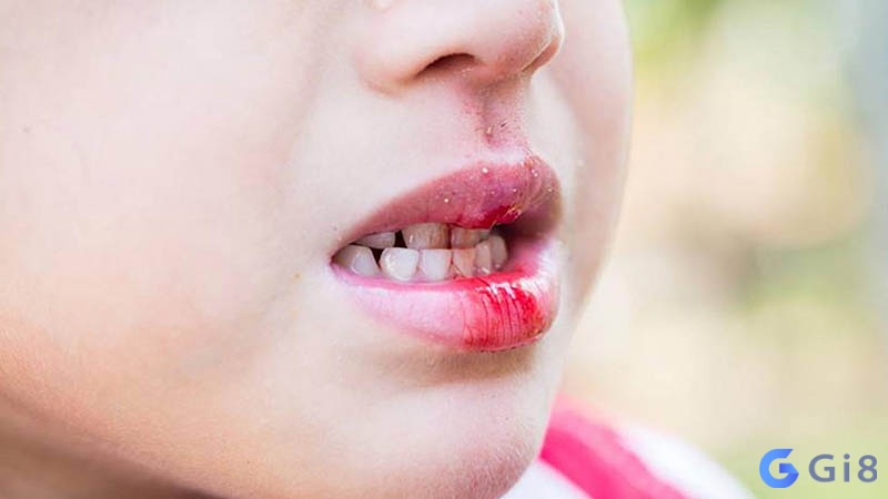 Giấc mơ báo hiệu công việc và kế hoạch của bạn sẽ sớm đạt kết quả tốt