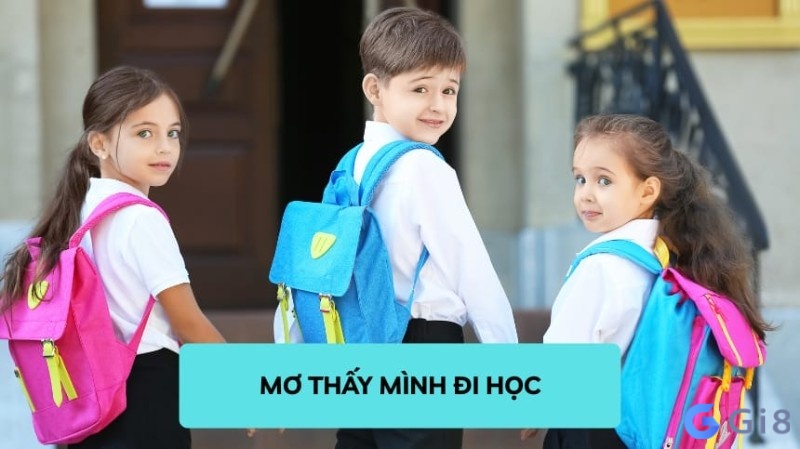 Mơ thấy đi học mang tới điềm báo may rủi theo từng hoàn cảnh mơ 