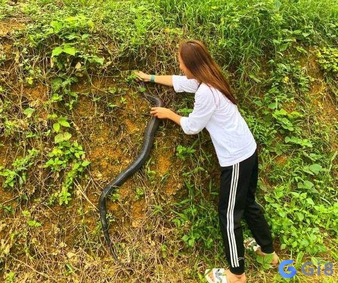 Mơ thấy đánh chết rắn được coi như là tín hiệu báo cho tương lai đã qua khỏi giai đoạn khó khăn