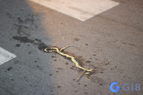 Mơ thấy đánh chết rắn ngoài đường là giấc mơ về các mối quan hệ xã hội xung quanh bạn