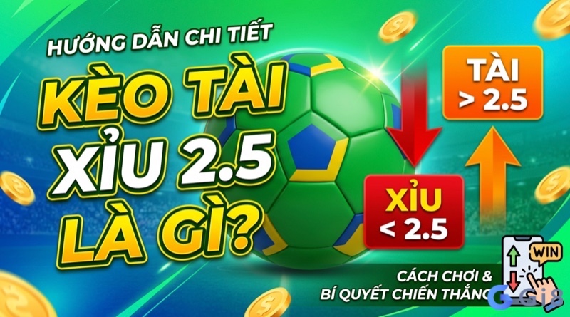 Kèo tài xỉu hai rưỡi là gì? Cách chơi và phân tích chuẩn xác nhất