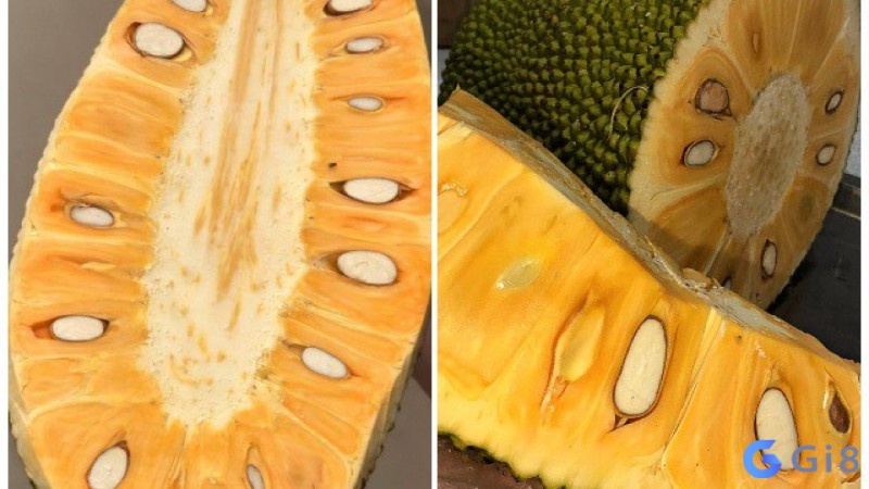 Nằm mơ thấy mít chín đánh số gì mang đến cho bạn nhiều con số may mắn mỗi ngày