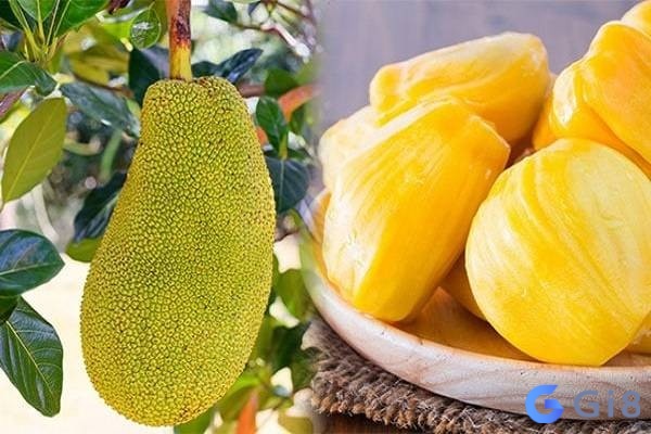 Nằm mơ thấy quả mít chín tượng trưng cho sự ổn định và sung túc