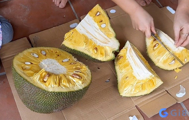 Mơ thấy mình đang hái mít chín thể hiện cho mình đang gặt hái các thành công