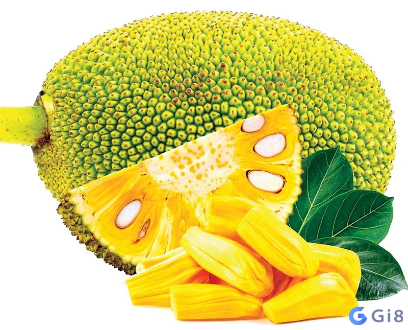 Nằm mơ thấy que mít chín mang đến cho bạn nhiều con số may mắn mỗi ngày